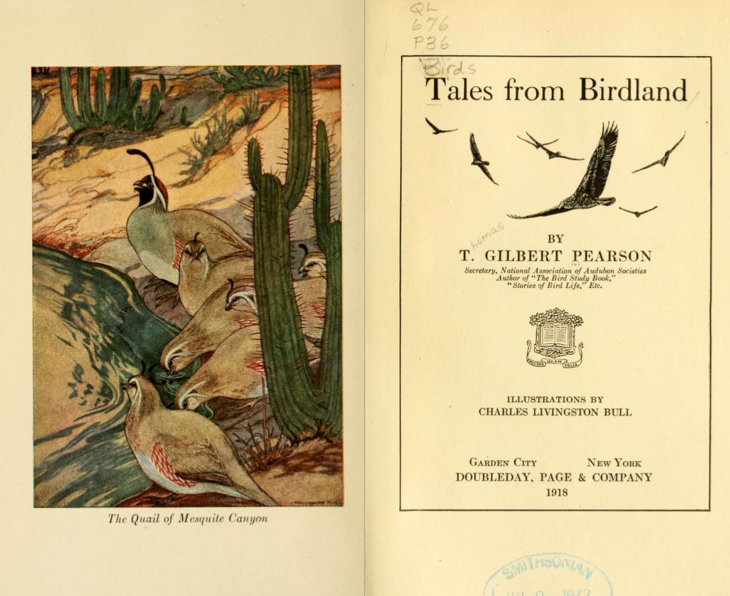 Title page and illustration from T. Gilbert Pearson's <i>Tales from Birdland,</i> published 1918 by Doubleday, Page & Company. Presented on Archive. org.