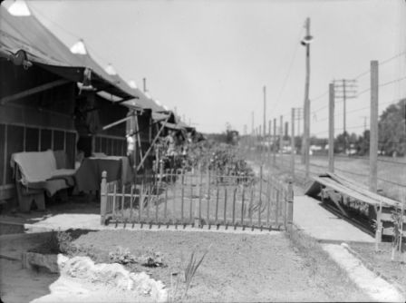 World War II prisoner of war camp, Williamston, N.C., 1943-45. Image courtesy of East Carolina University Special Collection.